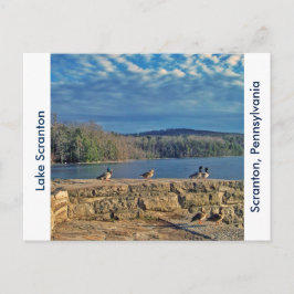 スクラントンPAレイクスクラントンポストカードダックス ポストカード