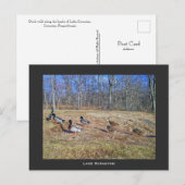 スクラントンPA – レイクスクラントンポストカードダックウォーク ポストカード (正面/裏面)