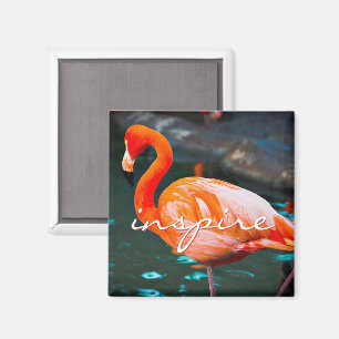 スクリインスパイアプトPink Flamingo写真モダン スタイリッシュ マグネット