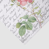 スクリフランスのットピンクカンバーランドバラバードポストカード 薄葉紙 (詳細)