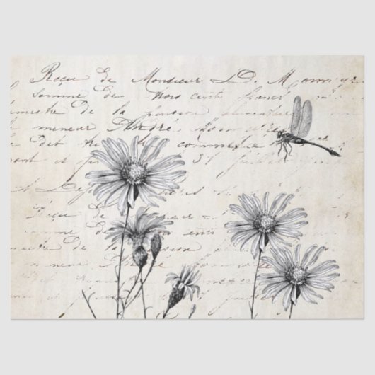 スクリプトフランスのワイルドフラワードラゴンフライの切り離し 薄葉紙 (正面)