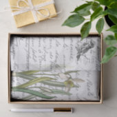 スクリプトフランスのヴィンテージスノードロップ鳥はがき 薄葉紙 (ギフト)