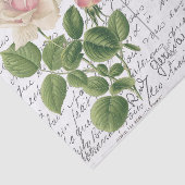 スクリプトフランスのヴィンテージピンクティーバラ鳥はがき 薄葉紙 (詳細)