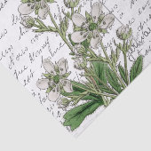 スクリプトフランスのヴィンテージ白い花鳥はがき 薄葉紙 (詳細)