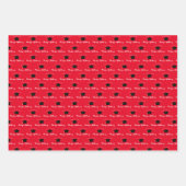 スクリプト名卒業Capクラス年度赤 ラッピングペーパーシート (正面3)