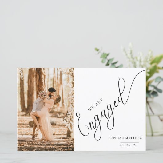 スクリプト婚約の発表 (スタンド正面)