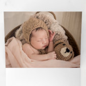 スクリプト歓迎ベビー写真 三つ折り案内状 (内部最初)