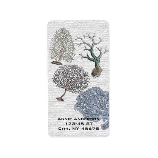 スクリプト航海のコーストビーチコーラルリーフ ラベル (正面)