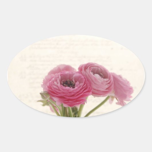 スクリプトovalスタンプのピンクのranunculus 楕円形シール (正面)