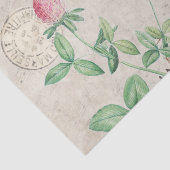 スクリプフランスのトビーピンククローバーフラワーハニーミュージック 薄葉紙 (詳細)