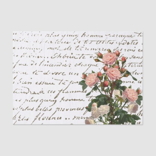 スクリプフランスのトピンローズ動揺してヴィンテージ 薄葉紙 (正面)