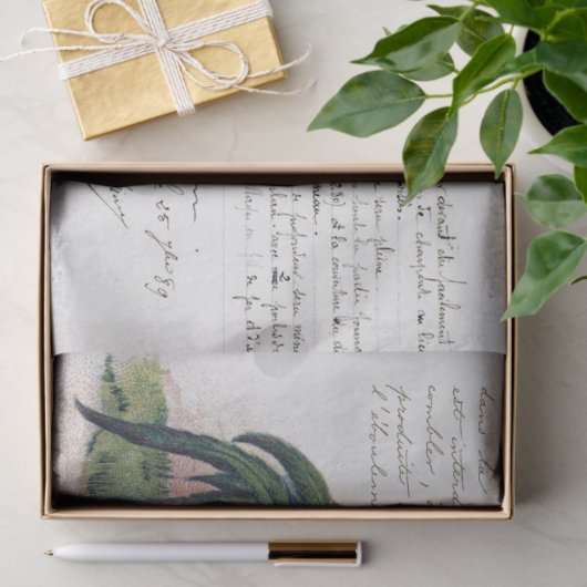 スクリプフランスのトヘンチキンファームハウスデコページ 薄葉紙 (ギフト)