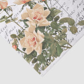 スクリプフランスのトヴィンテージピンクローズバードポストカード 薄葉紙 (詳細)