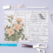 スクリプフランスのトヴィンテージピンクローズバードポストカード 薄葉紙 (クラフト)