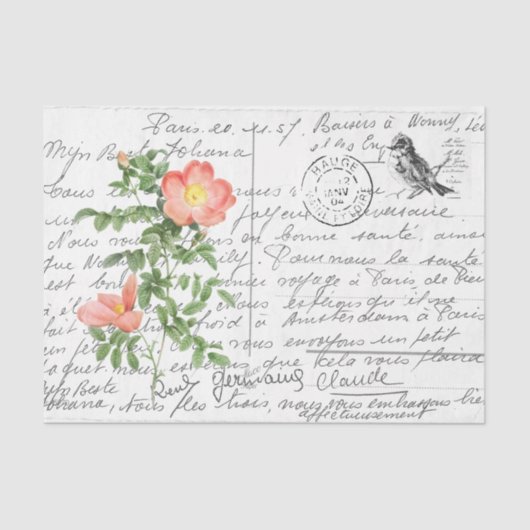 スクリプフランスのトヴィンテージブライアーバラ鳥はがき 薄葉紙 (正面)