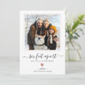 スクリプモダント検疫バラ金ゴールドハート6足 シーズンカード (スタンド正面)