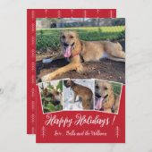 スクリプモダント犬フォトコラージレッドホリデーカード シーズンカード (正面/裏面)