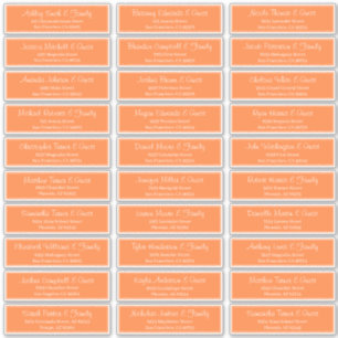 スクリプモダント結婚のゲスト名アドレス シール