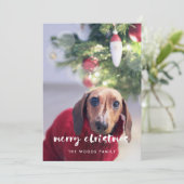 スクリプモダントMerry Christmas Photo シーズンカード (スタンド正面)