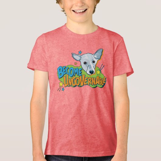 スクリム・キッドのTシャツレッド トライブレンドＴシャツ (正面)