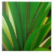 スクリューパインクローズアップ タイル (正面)