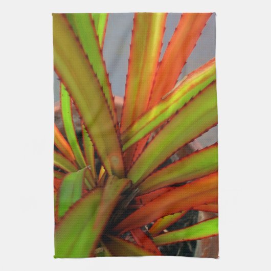 スクリューパインベビー キッチンタオル (縦)