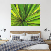 スクリューパイン キャンバスプリント (インサイチュ (寝室))