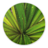 スクリューパイン セラミックノブ (正面)