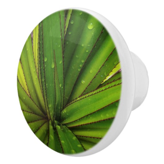 スクリューパイン セラミックノブ (右)