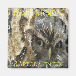 スクリューフクロウ磁石 マグネット