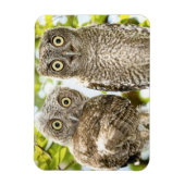 スクリーチフクロウチックス2 マグネット (縦)