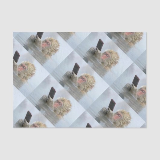 スクリーンの猿 薄葉紙 (正面)