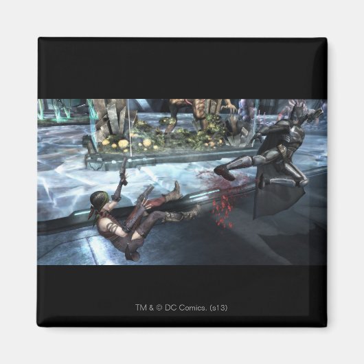 スクリーンショット:ハーレー対バットマン マグネット (正面)