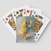 スクリーン上のツリーカエルのクローズアップ写真 トランプ (裏面)