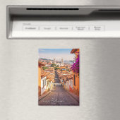 スクレボリビア旅行水の色 マグネット (インサイチュ (食洗機))