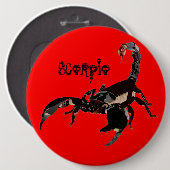 スクロールボタン 缶バッジ (正面&裏面)