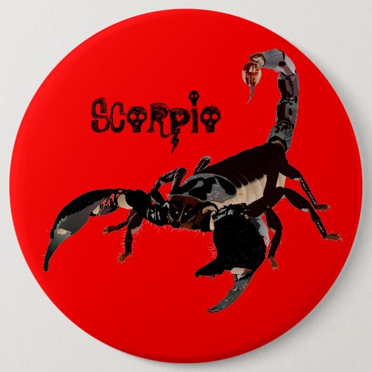 スクロールボタン 缶バッジ (正面)