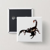 スクロールボタン 缶バッジ (正面&裏面)