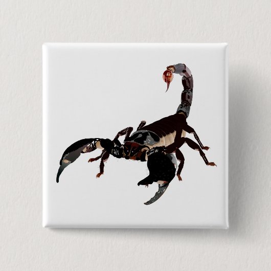 スクロールボタン 缶バッジ (正面)