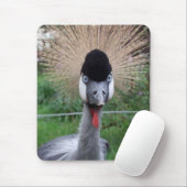 スクワット！ マウスパッド (マウス)