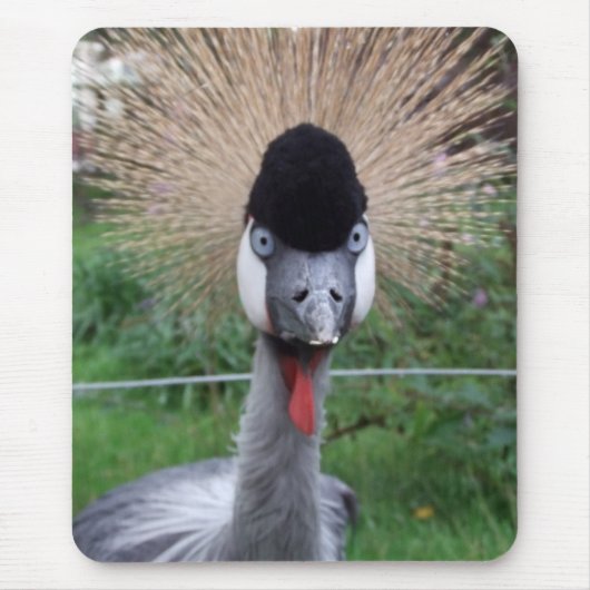 スクワット！ マウスパッド (正面)