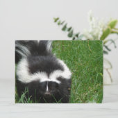 スクンクオンアン招待状 招待状 (スタンド正面)