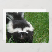 スクンクオンアン招待状 招待状 (正面/裏面)