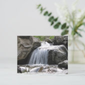 スクークリーク ポストカード (スタンド正面)