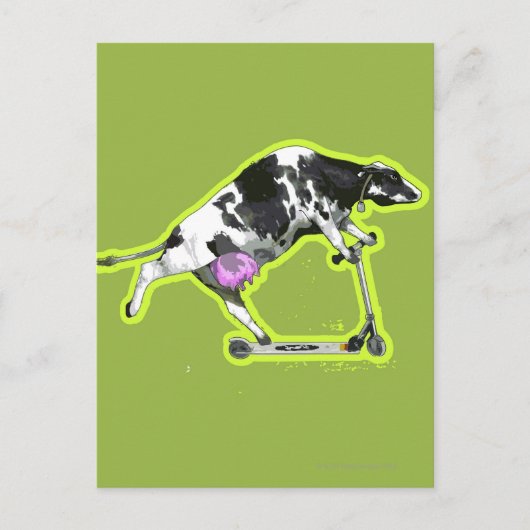 スクーターに乗る牛 ポストカード (正面)