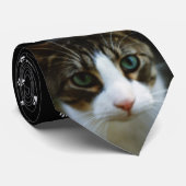 スクーターのタイ ネクタイ (ロール)