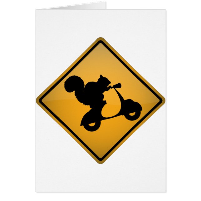 スクーターのリス (正面)