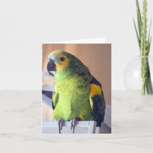 スクーター カード (正面)