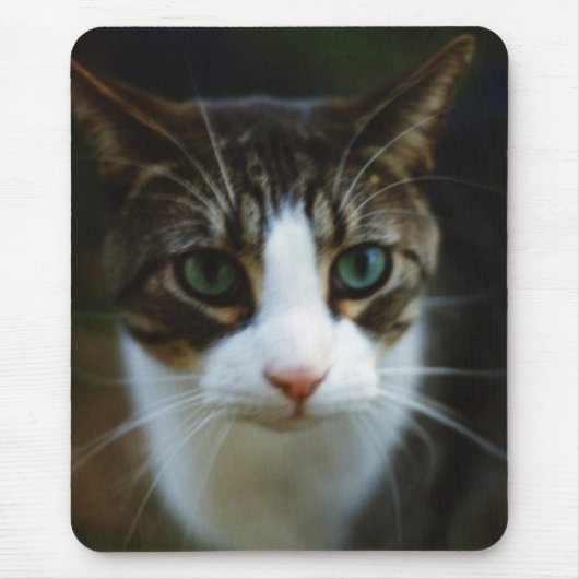 スクーター マウスパッド (正面)