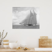 スクーナーヨットアメリカ ポスター (キッチン)